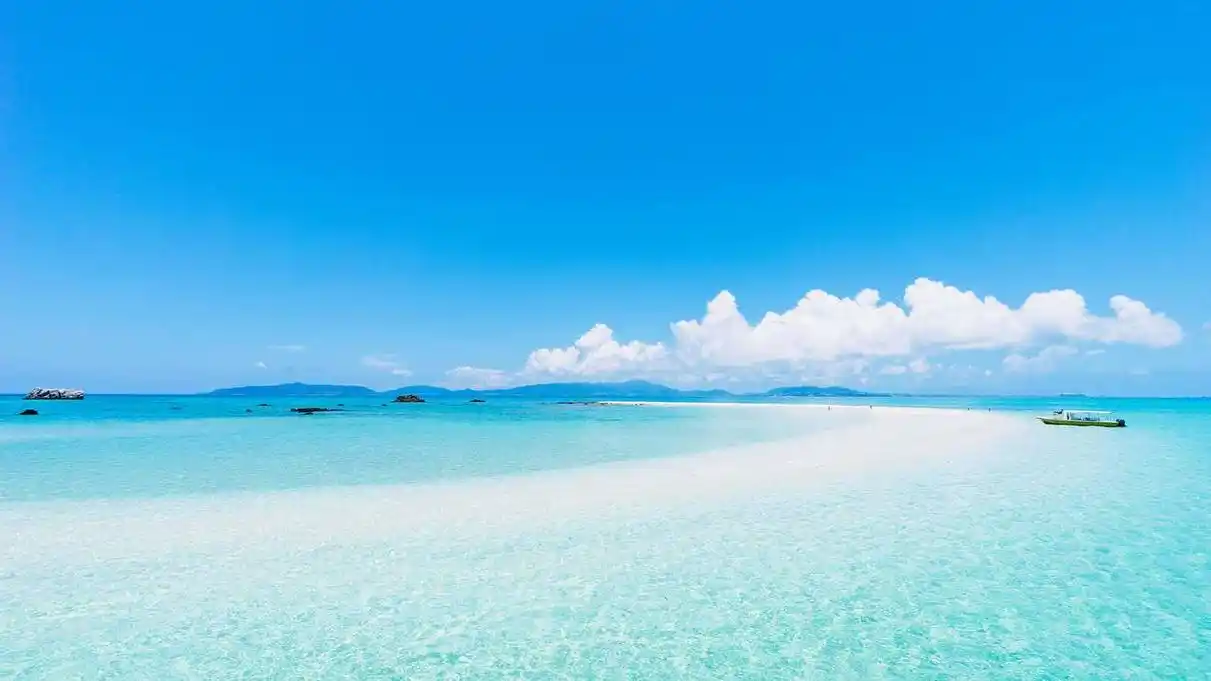 精选《海洋紫色4k壁纸》图集 - 壁纸爱好者