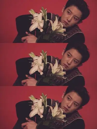 君夕莫自制朴灿烈三格壁纸