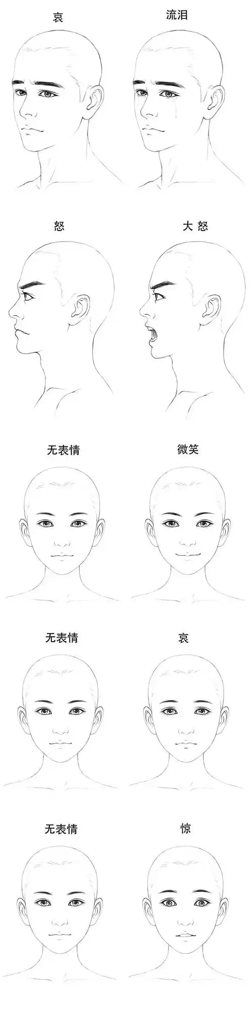 男女面部基本表情