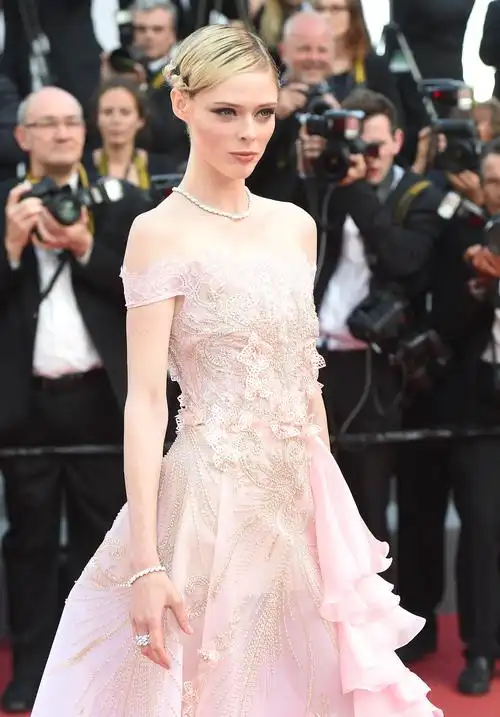 戛纳红毯美成清流的仙女比颜值她们都不比冰冰差