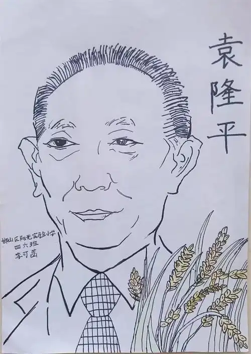 深刻缅怀 国之脊梁 杂交水稻之父 袁隆平——阳光实验小学开展缅怀
