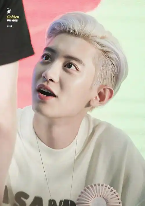 还记得朴灿烈19年来青岛开签售真的鲨疯了金丝眼镜一戴疯狂加分#exo