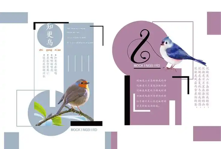 排版作业 - 原创作品 - 站酷(zcool)