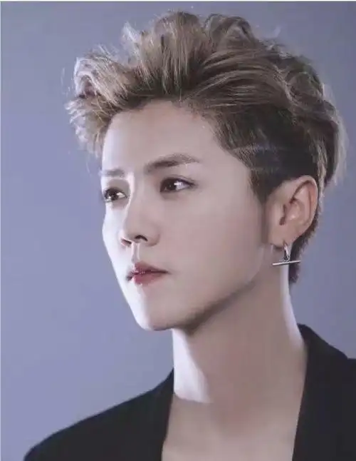 鹿晗大背头发型图片 - 搜狗图片搜索