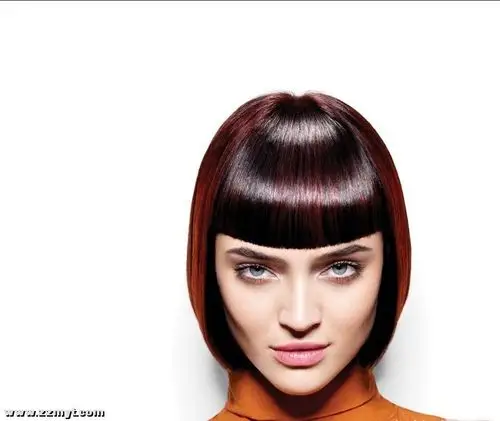 施华蔻专业美发2012作品集