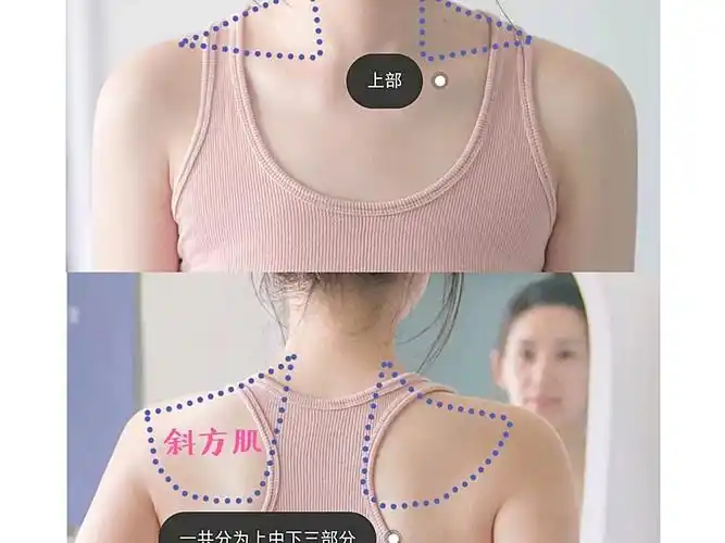 快速把溜肩练成一字肩天鹅颈消灭斜方肌大作战