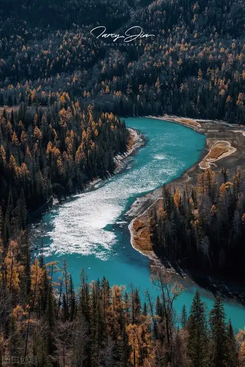 801_1200竖版 竖屏