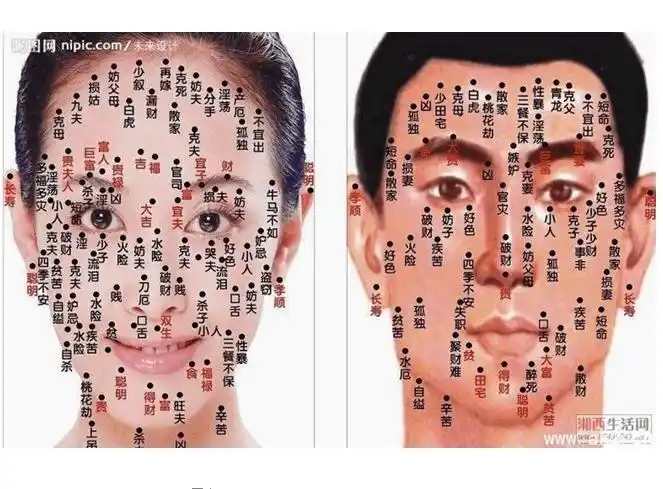 面相算命图解_word文档在线阅读与下载_无忧文档