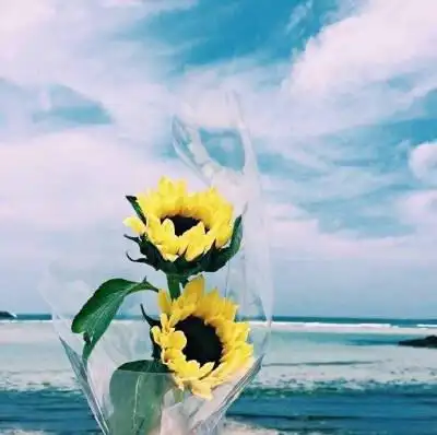 小清新头像小清新向日葵头像唯美