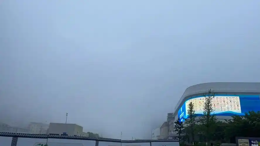 青岛  #夏天  #青岛天气 #刘浩存