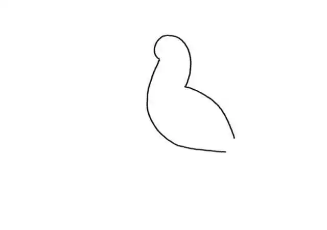 漂亮的小鸟简笔画