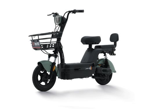 台铃电动车小时光新款电池续航成人男女助力代步电动自行车