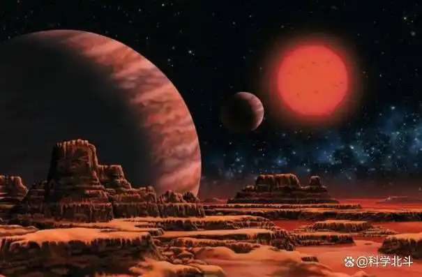 2008年nasa拍摄的火星照片其地表竟长出了树难道火星存在生命