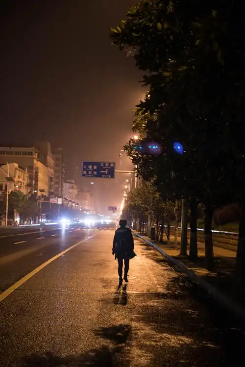 在这样的夜晚 只有影子与我们形影不离