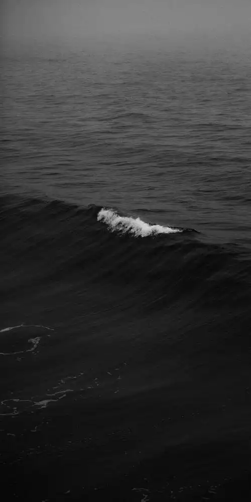 黑色系 大海 波浪98来自:芳心纵火犯2021-06-20 16:07:33