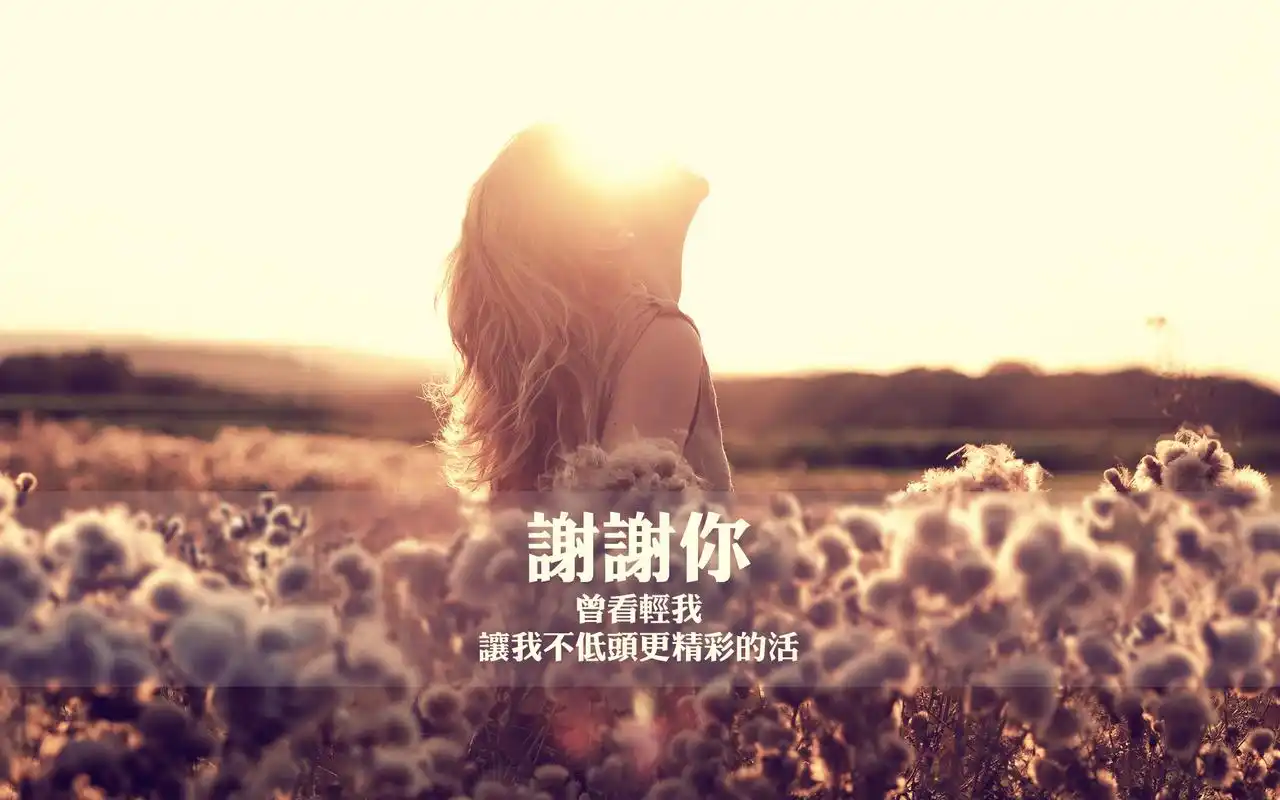 非主流唯美意境感恩节谢谢你创意设计文字桌面壁纸