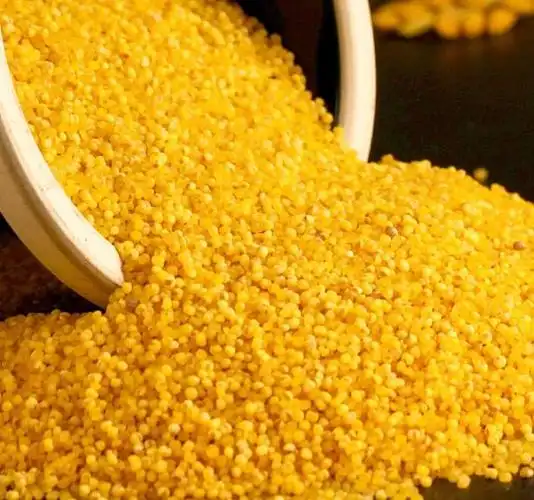金珠不换的沁州黄小米,独特口感,引发口腔盛宴