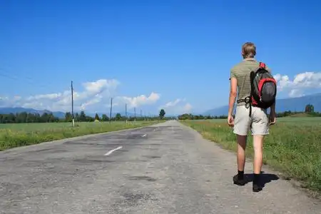 牛走在路上图片