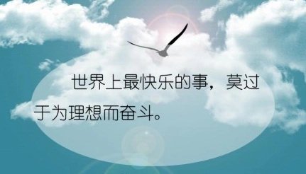 高中作文800字优秀范文