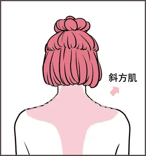 斜方肌让我的体态很难看,要怎么调整?