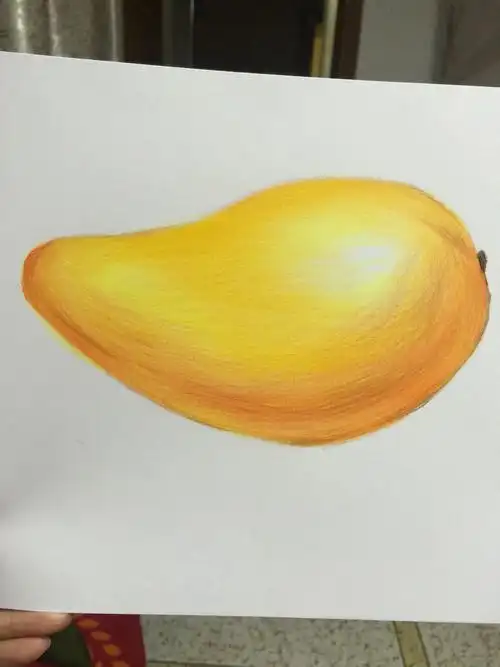 第二次彩铅画02芒果