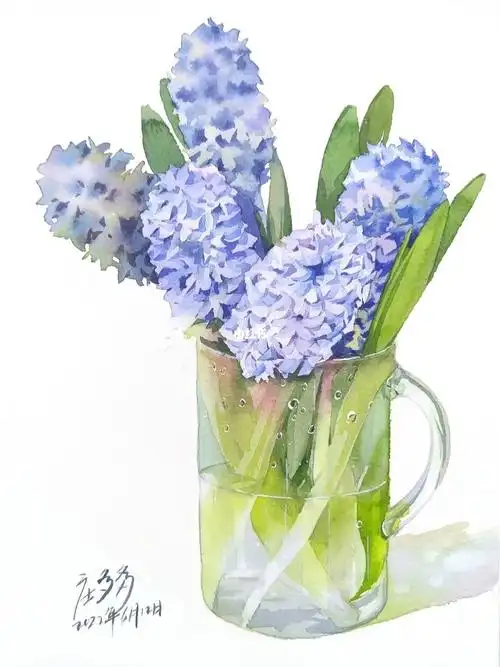水彩风信子过程