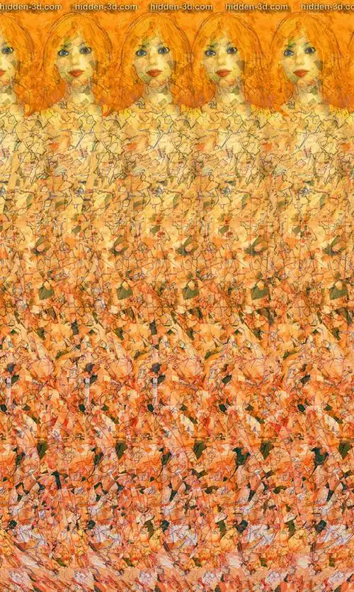 几张神奇的裸眼3d图