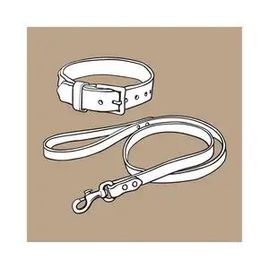 免扣猫简单的棕色皮革宠物,猫,狗扣项圈和皮带照片