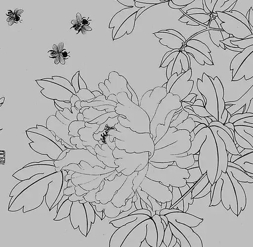 牡丹工笔画白描底稿图片