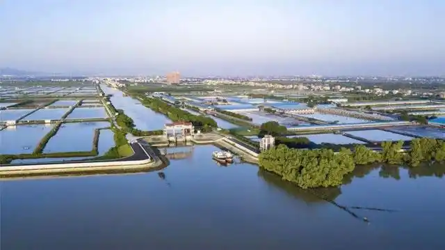 南沙区万顷沙镇因为它火了!一起去看看……