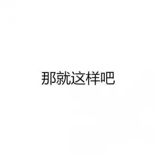 那就这样吧