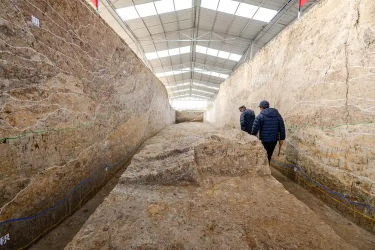 新华全媒丨湖北荆门屈家岭遗址