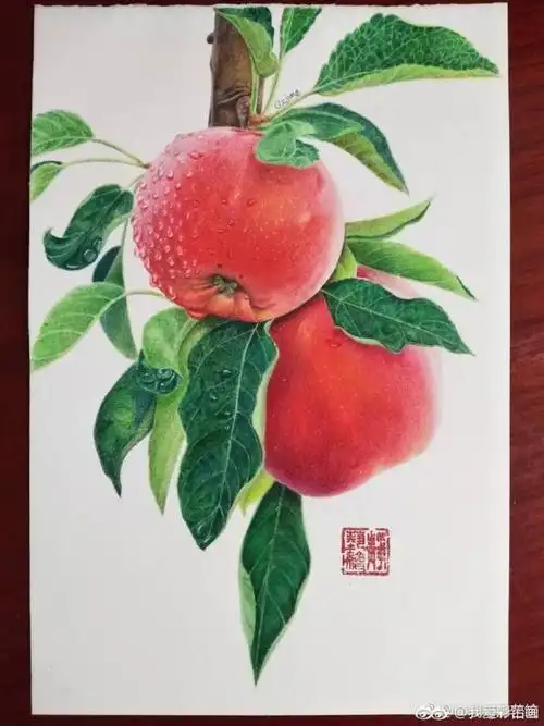 水果手绘,图片源自微博