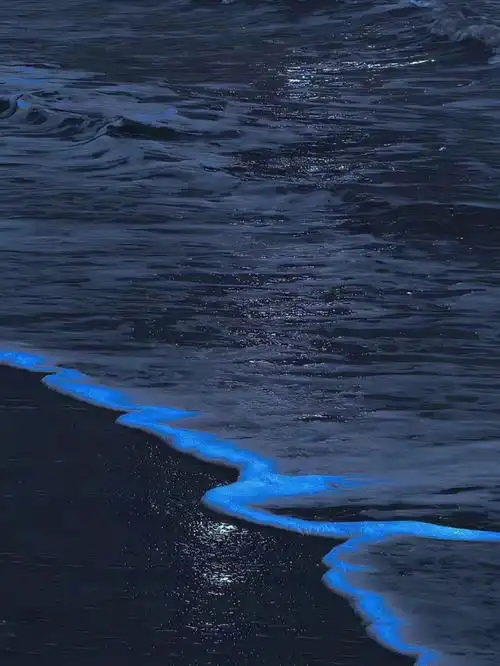 886_1180竖版 竖屏