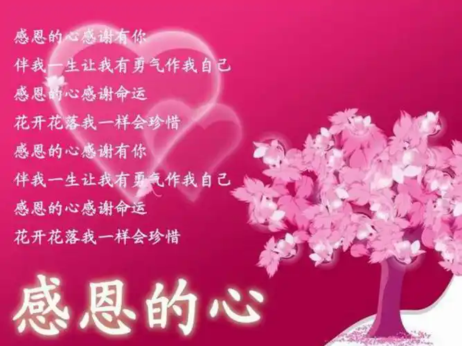 2021小学六年级下册心理健康课件 第五课 学会感恩 辽大版(10ppt)