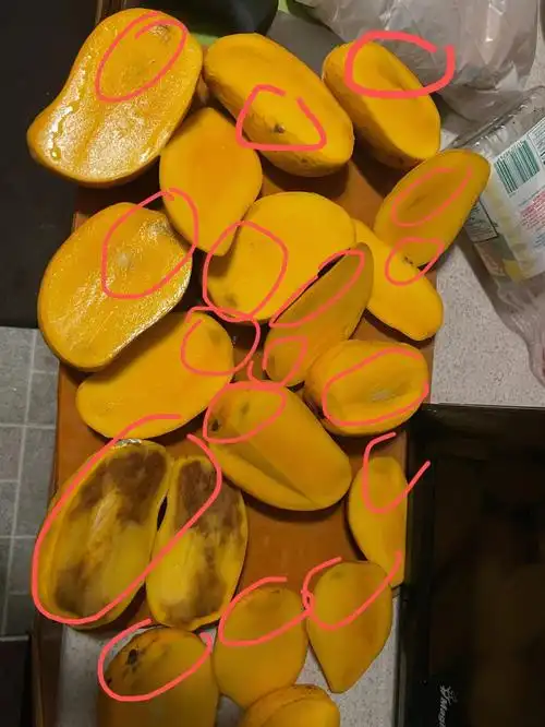 在9694中超烂水果退货真卑微