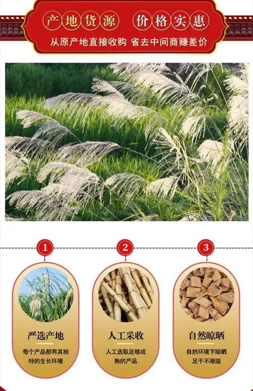2020年无硫中药材 芦根 苇茎 苇根 支持药检 可开发票 一件代发