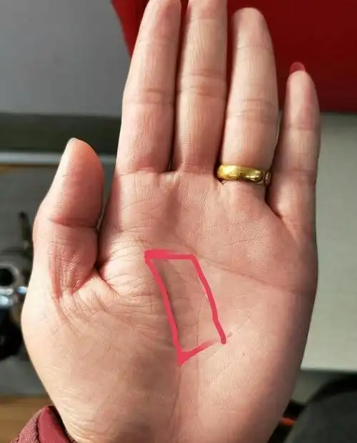 离婚命的手相图,好命女人的手相图解,绝对离婚纹图片