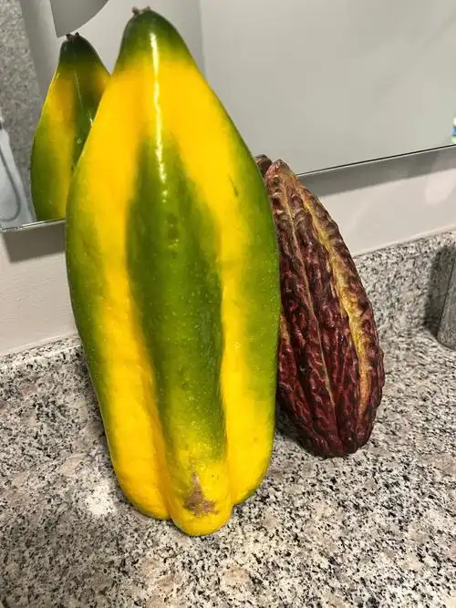 厄瓜多尔奇怪的水果