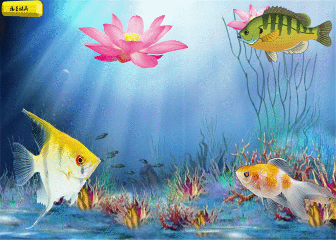 658_470gif 动态图 动图