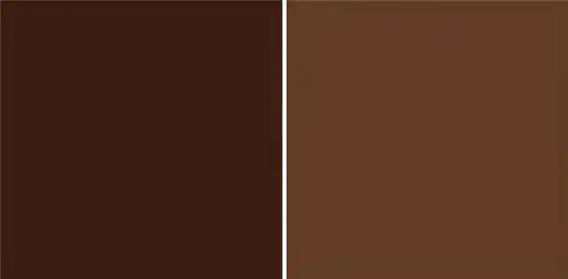 秋天的"棕色"有多时髦?越精致的女人越喜欢棕色系,温柔又高雅