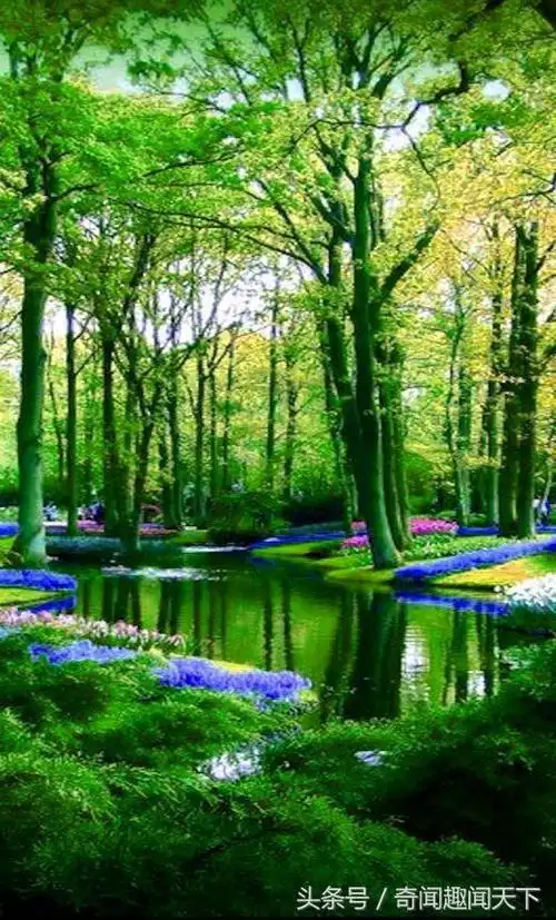 美的怀疑这不是人间是天堂!青山,绿水加冰川,哪里找这样的风景