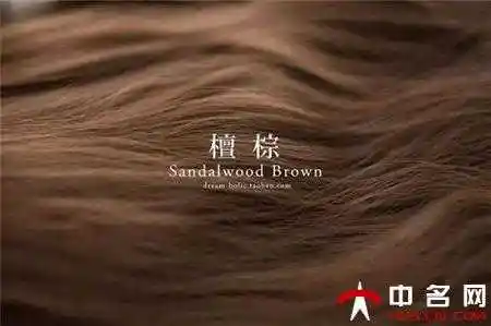 有哪些棕色染发颜色棕色染发颜色大全图片推荐