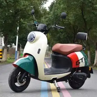 cnzko新款新国标电动车小型电动自行车电瓶车男女士两轮代步车成人