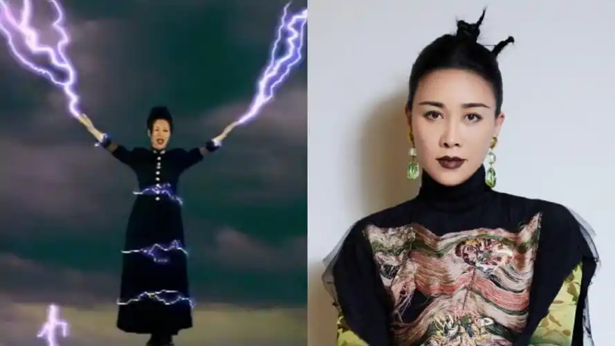 那英《雾里看花》竟是315打假歌,当年花6000元买2道雷电特效