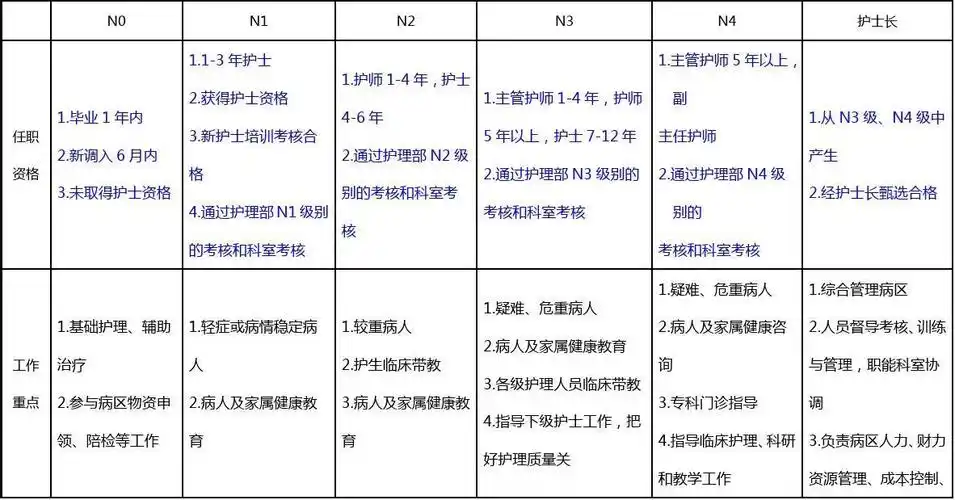 n0-n4护士分级85747