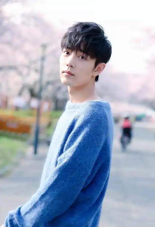 肖战蓝色毛衣樱花图片:温柔入我心