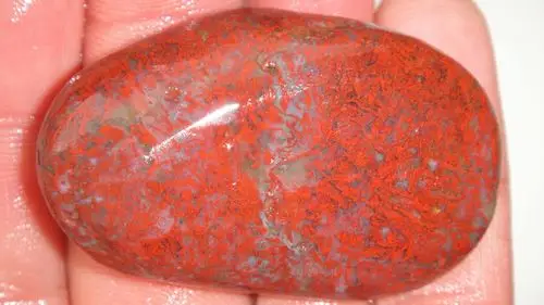 玛瑙质鸡血丝石 此石罕见 寻伯乐 大家有喜欢的,留下价格和q307728281