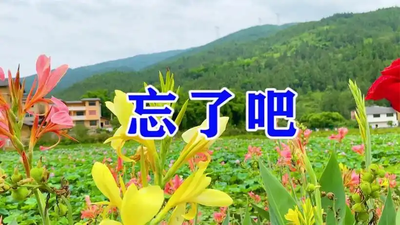 一首伤感情歌《忘了吧》爱你太深,怎么能说忘就忘,听的人想落泪