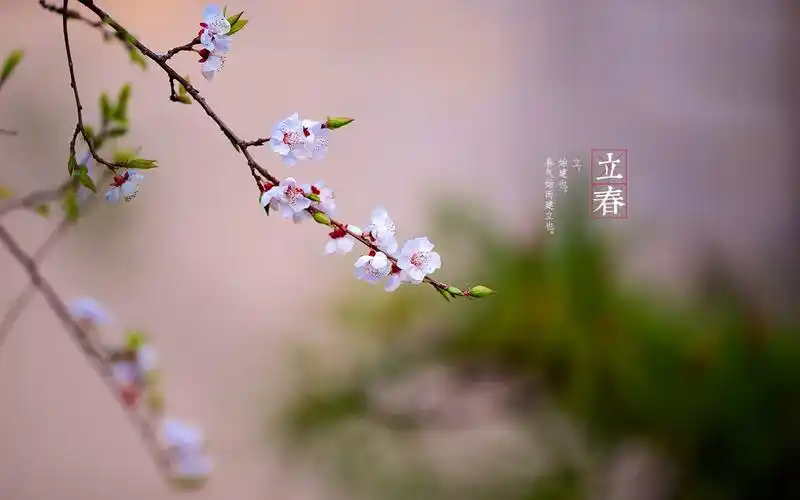 立春时间2020几点几分_立春时间2020几点几分 立春习俗打春时间几点几